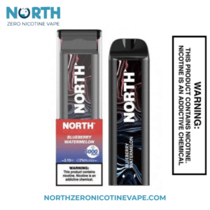 Blueberry Watermelon North 5000 Puffs