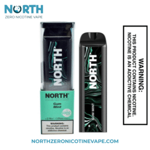 Gum Mint North 5000 Puffs Zero Nicotine